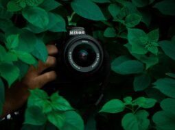 creative photography