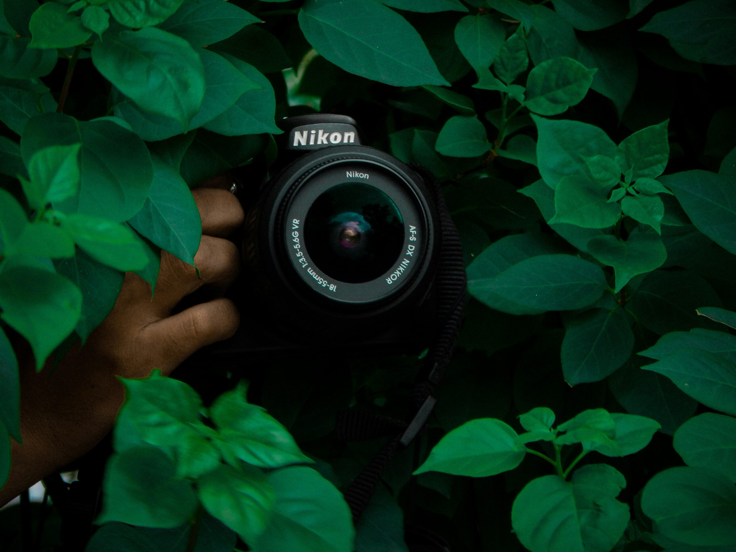 creative photography